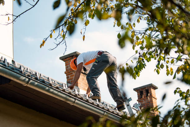 Best Roof Inspection Near Me  in Sleepy Hollow, WY