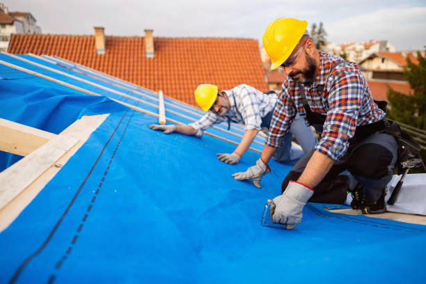 Best Commercial Roof Installation  in Sleepy Hollow, WY