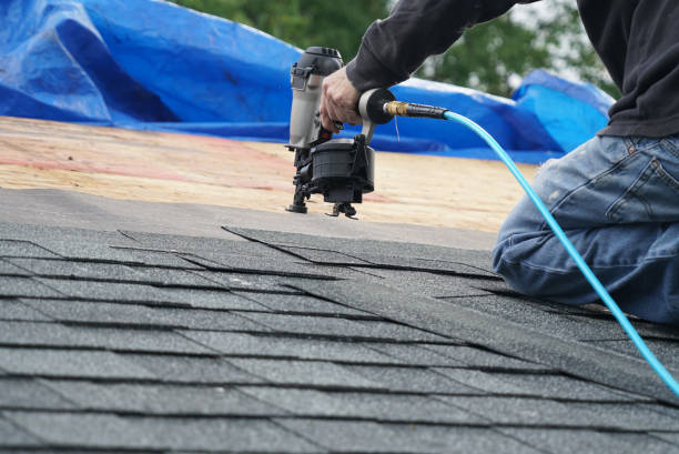 Best Roof Repair Services  in Sleepy Hollow, WY